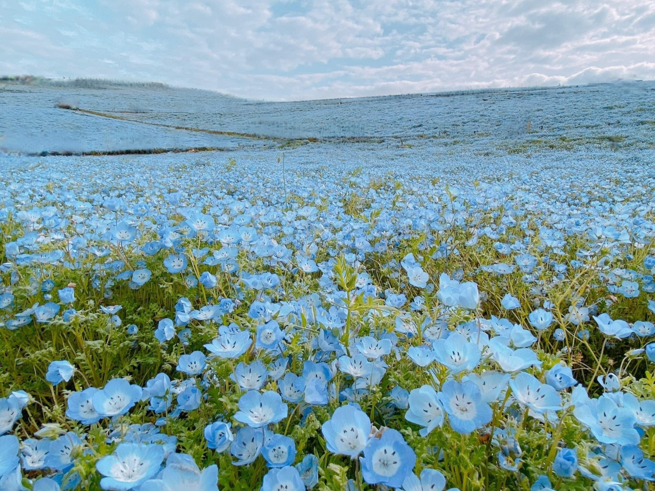 絶景クイズ -part 3-